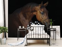 Коричневые флизелиновые 3Д фотообои 368 x 280 см Животные - лошадь на темном фоне (13602V10)+клей