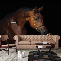 Черные флизелиновые 3Д фотообои 312 x 219 см Животные - Коричневая лошадь на темном фоне (13602VEXXL)+клей