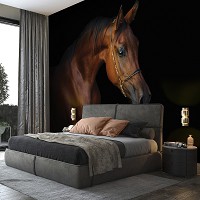 Флизелиновые 3D фотообои в спальню над кроватью 416x254см Животные - Коричневая лошадь на темном (13602VEXXXL)+клей