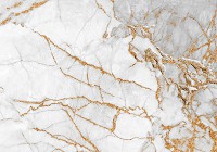Флизелиновые фото обои камень 368 x 254 см Белый мрамор с золотым декором (13668V8)+клей - вид 1 миниатюра