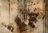 Флизелиновые фотообои ретро стиль 416x290 см Старая стена с влажными пятнами (13688VEXXXXL) +клей - вид 1 миниатюра