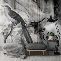 Флизелиновые фото обои под бетон 254 x 184 см Абстракция - Птица на черно-белом камне (13690V4)+клей