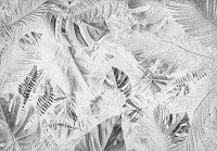 Флізелінові фотошпалери природи 416x254 см Квіти - Чорно-біле листя на старий папір (13701VEXXXL)+клей - вид 1 мініатюра