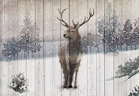 Фотообои винтаж 368x254 см Животные - Гордый олень на деревянных досках (13723P8)+клей - вид 1 миниатюра