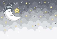 Флизелиновые фотообои в детскую девочке 368 x 280 см Спящая луна и звездочка (13759V10)+клей - вид 1 миниатюра