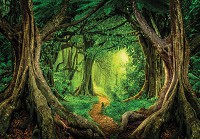 Красиві флізелінові фотошпалери 3D на кухню 416x254 см Природа - Тропічний ліс та стежка (13852VEXXXL)+клей - вид 1 мініатюра