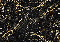 Фото обои на стену 368 x 254 см Черный мрамор с золотыми прожилками (13854P8)+клей - вид 1 миниатюра