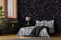 Флизелиновые красивые фото обои звездного неба 254 x 184 см Космос - Созвездия (13873V4)+клей