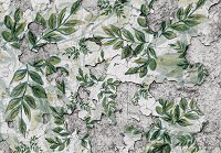 Флізелінові фотошпалери в стилі джунглі 416x290 см Квіти - зелене листя на старій стіні (13900VEXXXXL)+клей - вид 1 мініатюра