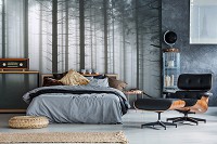 Флизелиновые фотообои дерево 368 x 254 см Хвойный лес в тумане (13916V8)+клей