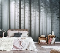 Природа флизелиновые фотообои 312 x 219 см Хвойный лес в тумане (13916VEXXL)+клей