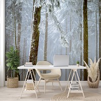 Флизелиновые фотообои природа 368 x 254 см 3D Пейзаж - Зимний лес (13919V8)+клей