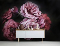 Флизелиновые 3D фото обои в романтическом стиле 254x184 см Цветы - розы с каплями росы на черном фоне (13966V4)+клей