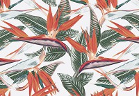 Зелене листя флізелінові фотошпалери Природа Екзотичні Квіти Стреліція Королівська (13976V)+клей - вид 1 мініатюра