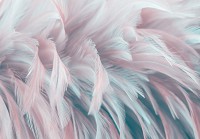 Флизелиновые фотообои 460x300 см 3D Абстрактные пастельные нежные перья в стиле Бохо (13989V12) +клей - вид 1 миниатюра