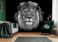 Флізелінові 3D фотошпалери чорно-білі в інтер'єрі 254x184 см Тварини - Чорно-білий лев (13996V4)+клей