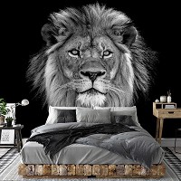 Флизелиновые фотообои коты 368x280 см 3D Животные - черно-белый лев на темном фоне (13996V10) +клей