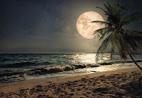 Флизелиновые фотообои ночь 368x254 см 3D Ландшафт Море Полная луна на пляже (13999V8) +клей - вид 1 миниатюра