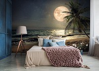 Флизелиновые фотообои 312x219 см 3D Ландшафт Море Полная луна на пляже (13999VEXXL) +клей