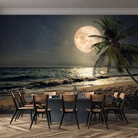 Флизелиновые фотообои морской пейзаж 254x184 см 3D Ландшафт Полная луна на пляже (13999V4)+клей