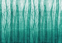 Красивые флизелиновые фотообои 368x280 см Темно-зеленые стволы тонких деревьев в рисованном стиле (14031V10) +клей