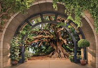 Флизелиновые фотообои арка 312x219 см 3D-эффект Терраса Пейзаж Дерево (14089VEXXL) +клей - вид 1 миниатюра