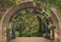 Флізелінові фотошпалери природа Арка 3D-ефект Тераса Пейзаж Дерева (14090V)+клей - вид 1 мініатюра