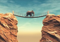 Современные 3d флизелиновые фотообои Животные 3D Слон идет по мосту (14138V)+клей - вид 1 миниатюра