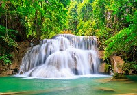 3d ліс флізелінові фотошпалери 312x219 см Краєвид Водоспад Зелень Природа (14139VEXXL) +клей - вид 1 мініатюра