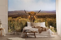 Красивые флизелиновые 3D фотообои с природой 520x318 см Животные Шотландская горная корова Ландшафт+клей