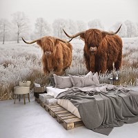 Флизелиновые 3D фотообои звери Животные Природа Шотландские Коровы Ландшафт (14169V)+клей