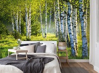 Флизелиновые фотообои 312x219 см Деревья 3D Природа Березовый лес и зеленая трава (14174VEXXL)+клей