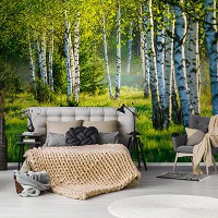 Флизелиновые фотообои для кухни 368x254 см Деревья 3D Природа Березовый лес и зеленая трава (14174V8)+клей