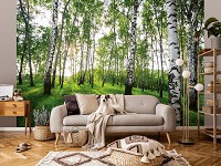 Популярные флизелиновые фотообои 416x290 см 3D Солнечные лучи в березовом лесу (14175VEXXXXL)+клей