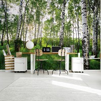 Флизелиновые фотообои летний пейзаж 368x254 см 3D Солнечные лучи в березовом лесу (14175V8)+клей