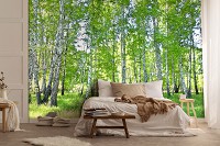 Флизелиновые фотообои 312x219 см Природа Лес Берёзы Зеленые Деревья (14182VEXXL)+клей