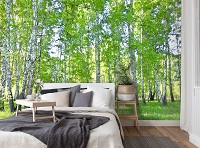 Флизелиновые фотообои в спальню 416x254 см Природа Лес Берёзы Зеленые Деревья (14182VEXXXL)+клей