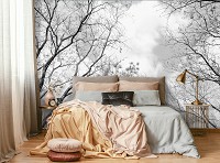 Флизелиновые фотообои облака в интерьере 368x254 см Черно-белый лес Природа Деревья Небо Ветки (14184V8)+клей