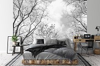 Флизелиновые фотообои на стену 368x280 см Черно-белый лес Природа Деревья Небо Ветки (14184V10)+клей
