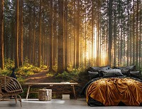 Флизелиновые фотообои пейзаж 520x318 см Природа Деревья 3D Солнце в весеннем лесу (14185VEXXXXXL)+клей