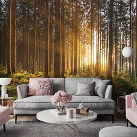 Флизелиновые фотообои дерево на стену 416x290 см Природа Лес Весна Деревья Солнце (14185VEXXXXL)+клей