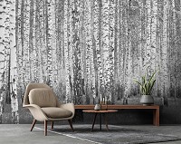 Флизелиновые фотообои на стену 254x184 см Природа Лес Чёрно-Белая Береза (14211V4)+клей
