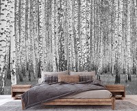 Флизелиновые фотообои в спальню 368x254 см Природа Лес Чёрно-Белая Береза (14211V8)+клей