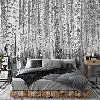 Красивые флизелиновые фотообои на кухню 312x219 см Природа Лес Чёрно-Белая Береза (14211VEXXL)+клей