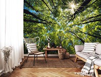 Флизелиновые 3D фотообои с деревьями на стену 368x254см Природа Лес Верхушки деревьев Солнечный свет (14223V8)+клей