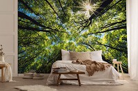 Флизелиновые 3D фотообои зеленые листья 416x254 см Природа Лес Верхушки деревьев Солнечный свет (14223VEXXXL)+клей