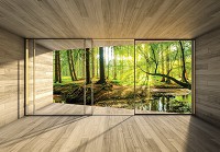 3d флізелінові фотошпалери 312x219 см вікно тераси з видом на ліс (14238VEXXL)+клей - вид 1 мініатюра