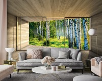 Флизелиновые фотообои красивые 368x254 см 3D Терраса Окно Березовый Лес Природа (14239V8)+клей