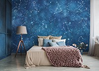 Детские флизелиновые фотообои для мальчиков 520x318 см Небо Звезды Созвездия Зодиака Космос (14253VEXXXXXL)+клей