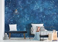 Флизелиновые фотообои для мальчиков подростков 312x219 см Небо Звезды Созвездия Зодиака Космос (14253VEXXL)+клей